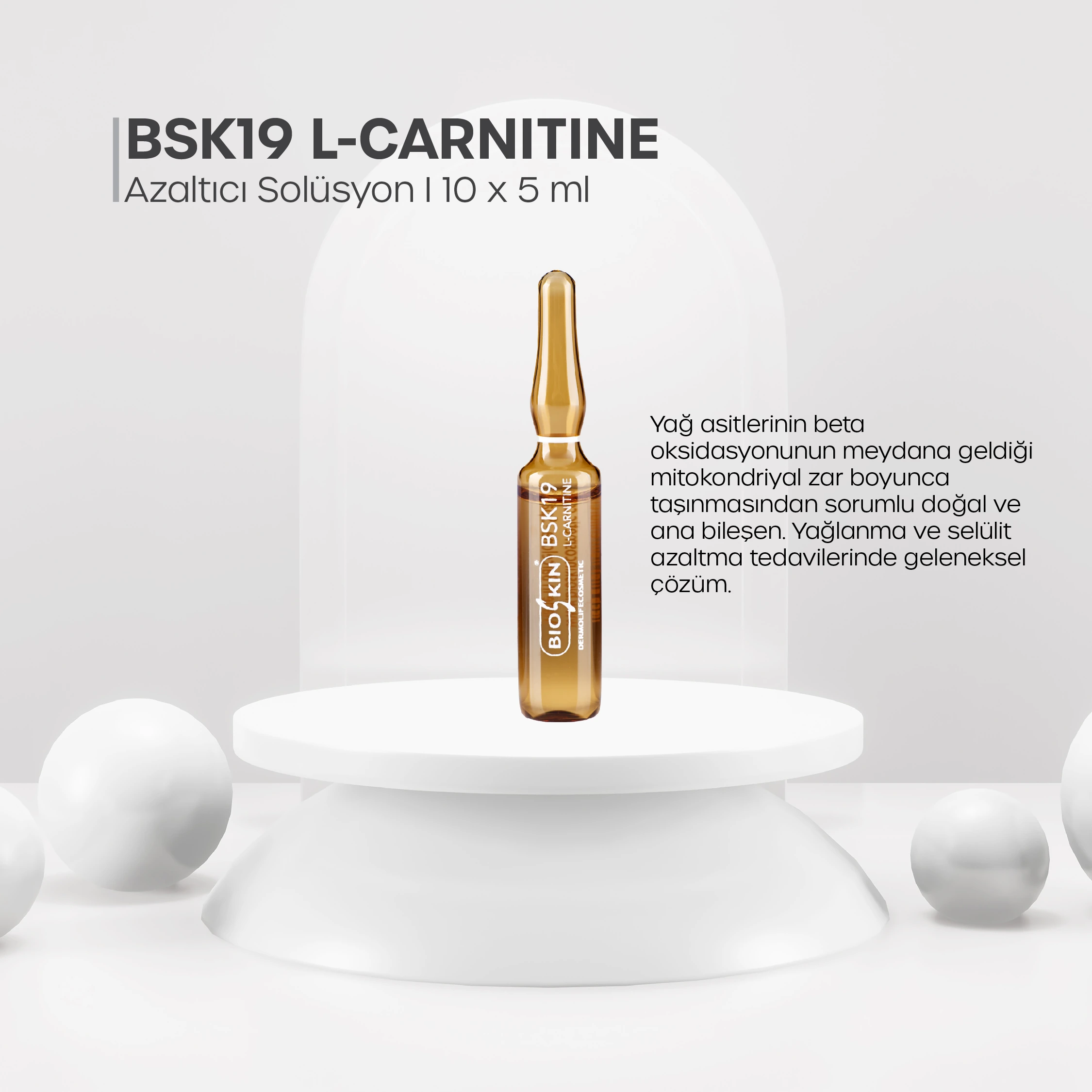 BSK-19 L-Carnitine